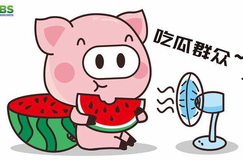 2022娱乐吃瓜动画,吃瓜动画盘点
