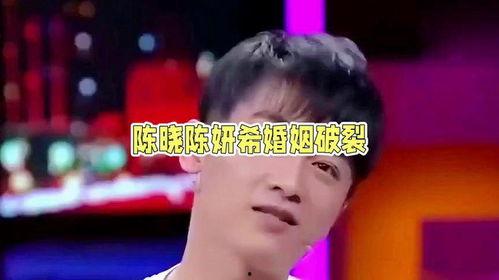 娱乐圈吃瓜陈晓图片大全,娱乐圈吃瓜图鉴，揭秘明星婚姻背后的真相”