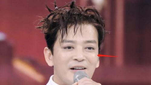 吃瓜鹅明星娱乐,吃瓜鹅明星的幕后故事与热点追踪