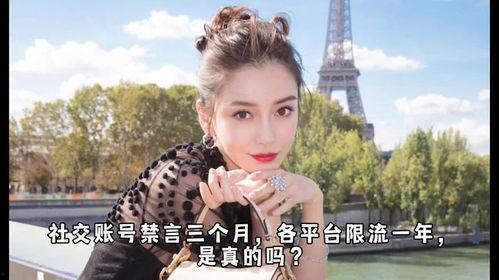 娱乐吃瓜张凌赫白鹿,张凌赫与白鹿恋情真相揭秘