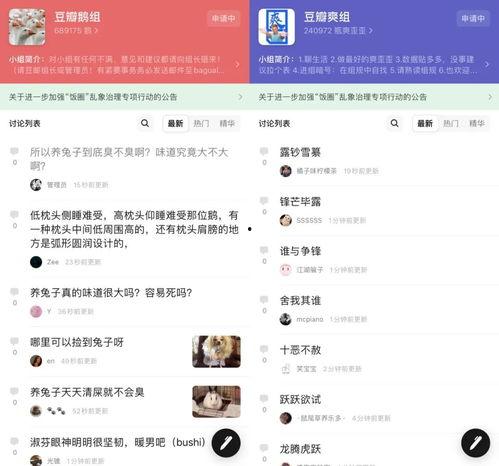 豆瓣娱乐吃瓜,网络时代的八卦狂欢与反思