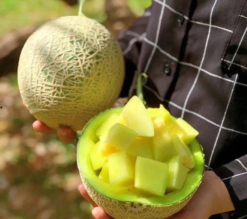 这几年吃的娱乐瓜是什么,盘点近年热门娱乐瓜