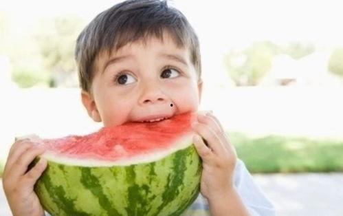 娱乐吃瓜君小团团,娱乐吃瓜界的“瓜王”传奇