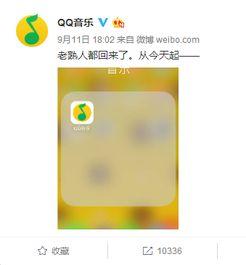 娱乐吃瓜音乐是什么软件,揭秘热门音乐软件背后的故事