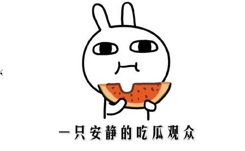 吃瓜娱乐简介句子,吃瓜群众眼中的明星幕后故事